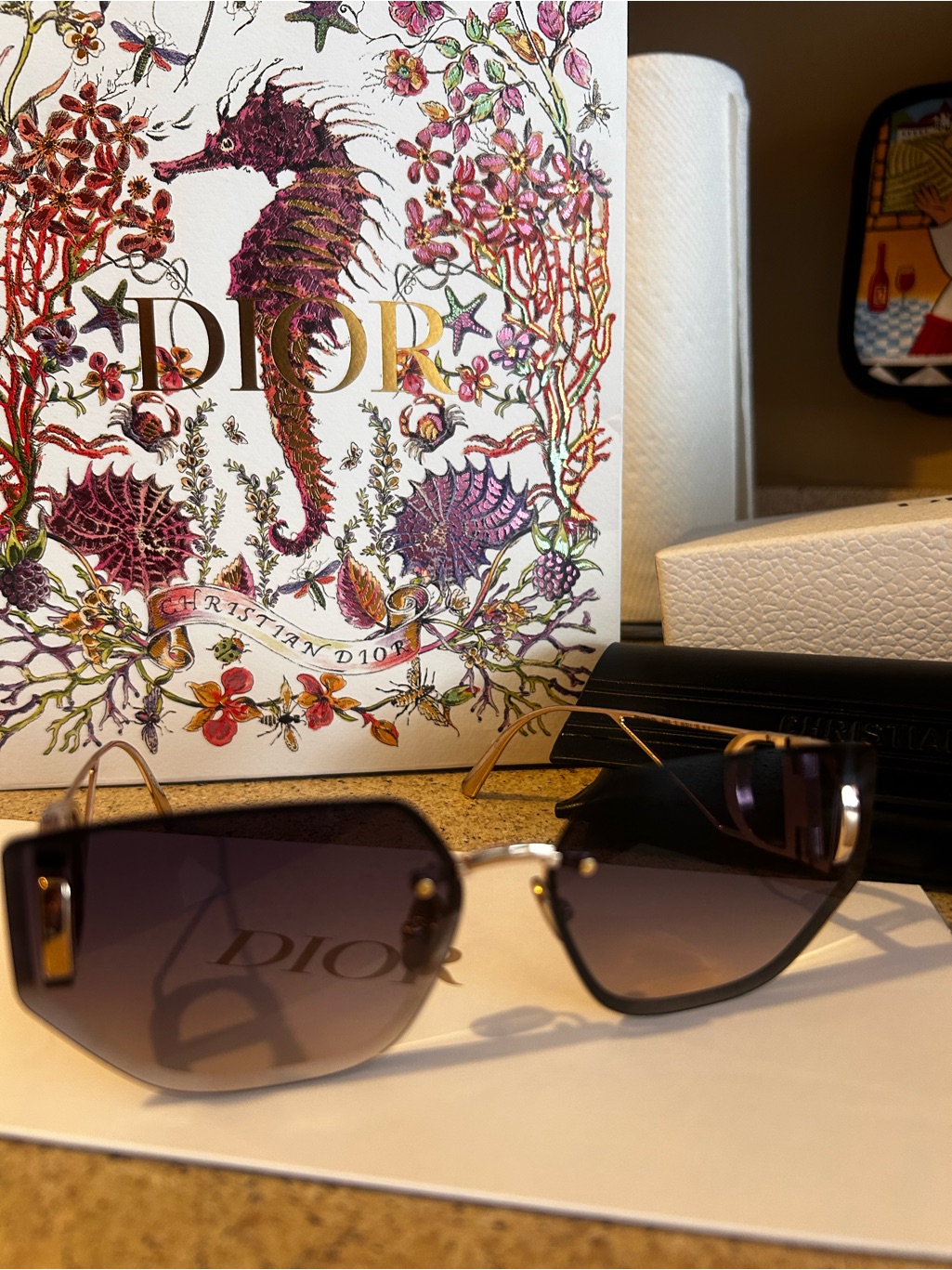 Dior Gold-Trim Black Gradient Shield Sunglasses